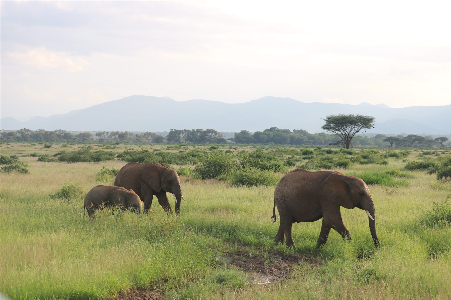 Destination image Maasai Mara & Rift Valley 1